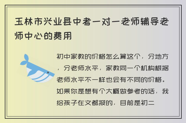 玉林市興業(yè)縣中考一對一老師輔導老師中心的費用