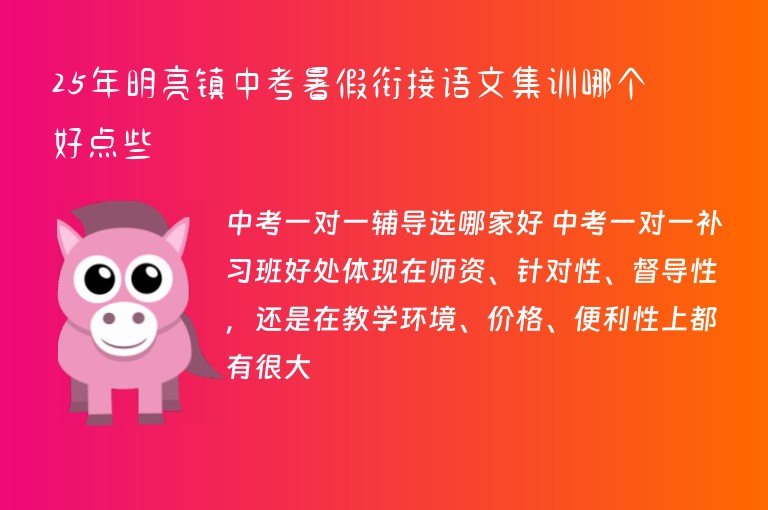 25年明亮鎮(zhèn)中考暑假銜接語(yǔ)文集訓(xùn)哪個(gè)好點(diǎn)些