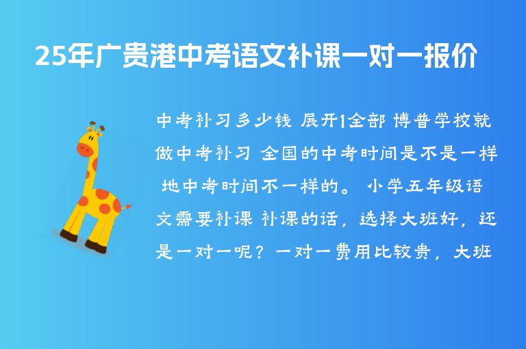 25年廣貴港中考語文補課一對一報價