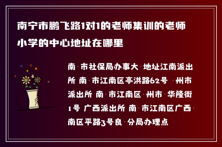 南寧市鵬飛路1對1的老師集訓(xùn)的老師小學(xué)的中心地址在哪里