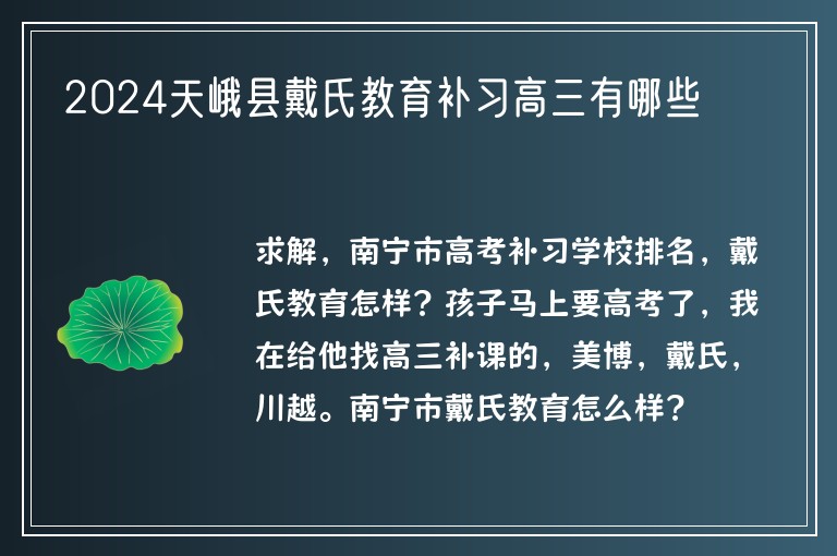 2024天峨縣戴氏教育補(bǔ)習(xí)高三有哪些