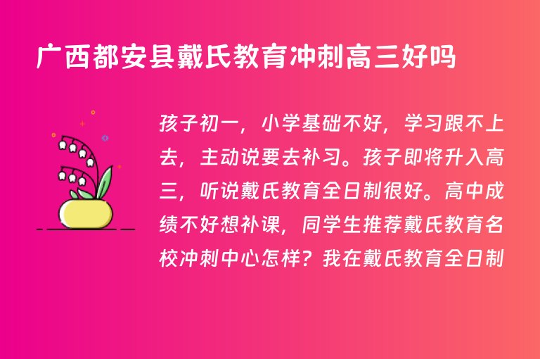 廣西都安縣戴氏教育沖刺高三好嗎