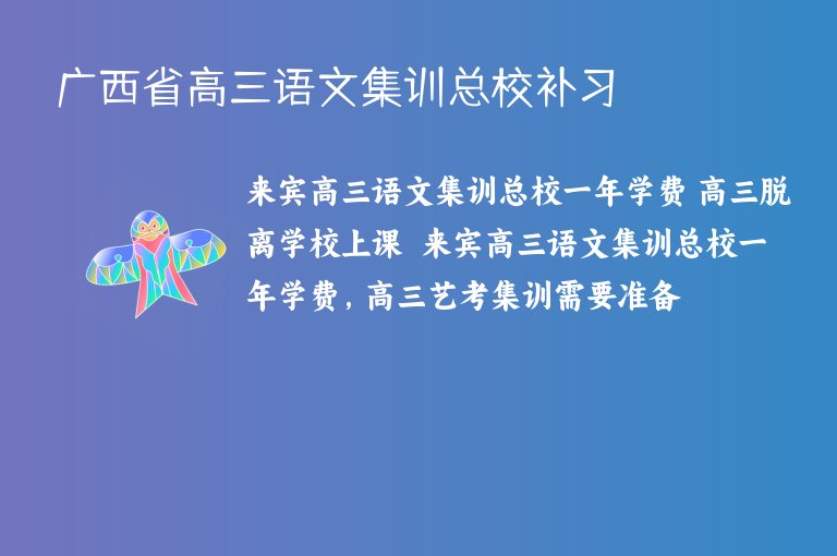 廣西省高三語文集訓總校補習