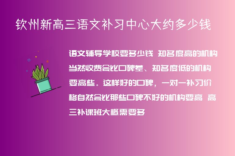 欽州新高三語文補習中心大約多少錢