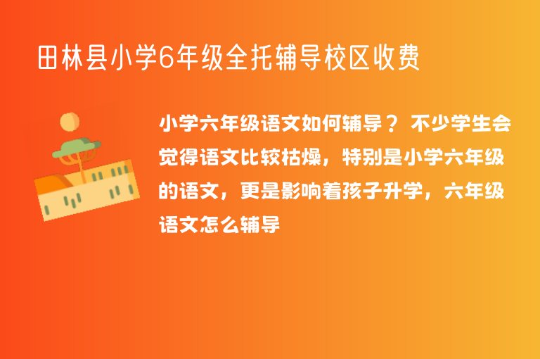 田林縣小學6年級全托輔導校區(qū)收費