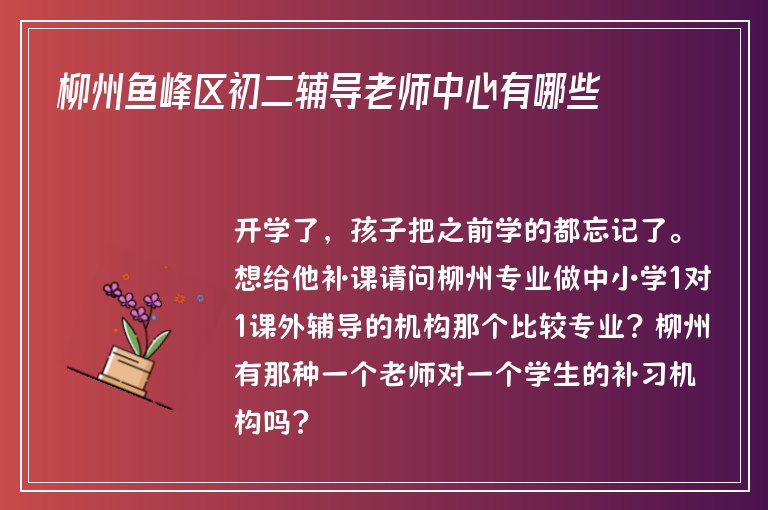 柳州魚(yú)峰區(qū)初二輔導(dǎo)老師中心有哪些