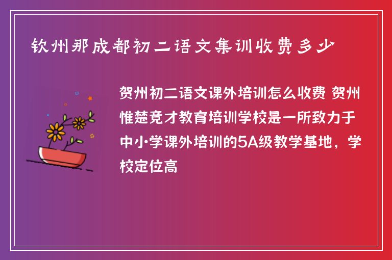 欽州那成都初二語文集訓收費多少