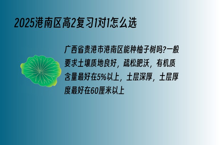 2025港南區(qū)高2復習1對1怎么選