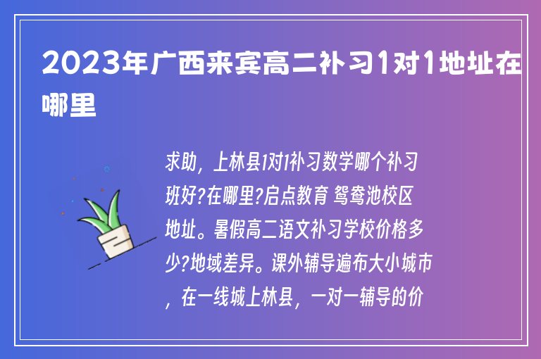 2023年廣西來(lái)賓高二補(bǔ)習(xí)1對(duì)1地址在哪里