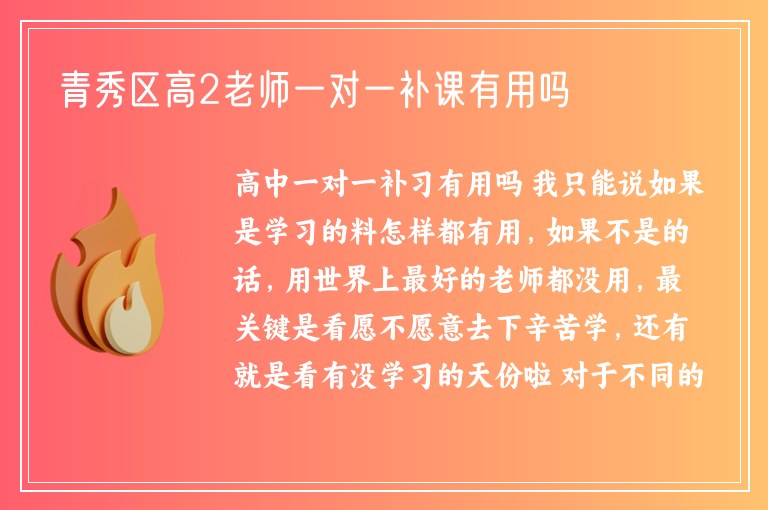 青秀區(qū)高2老師一對(duì)一補(bǔ)課有用嗎