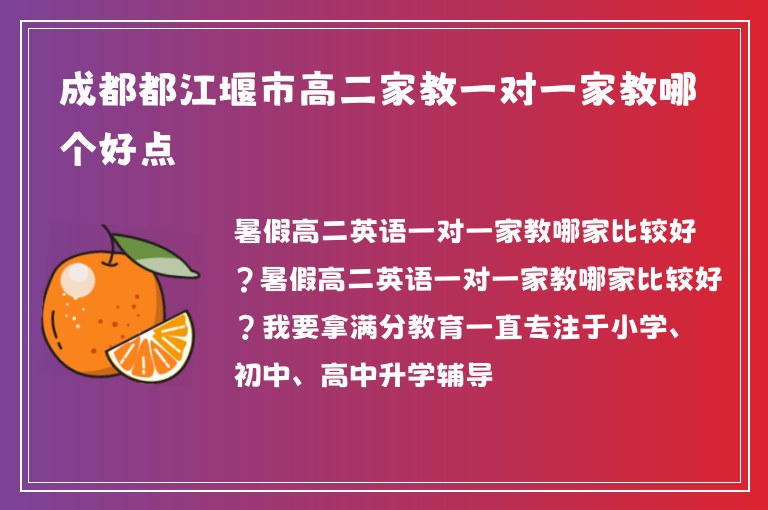 成都都江堰市高二家教一對一家教哪個好點