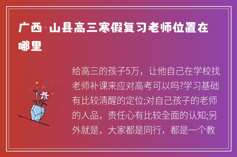 廣西鳳山縣高三寒假復習老師位置在哪里