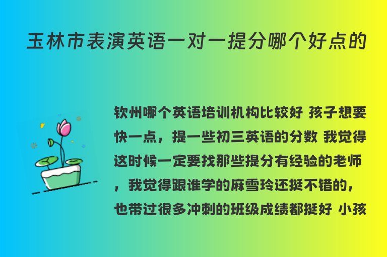 玉林市表演英語一對一提分哪個好點的